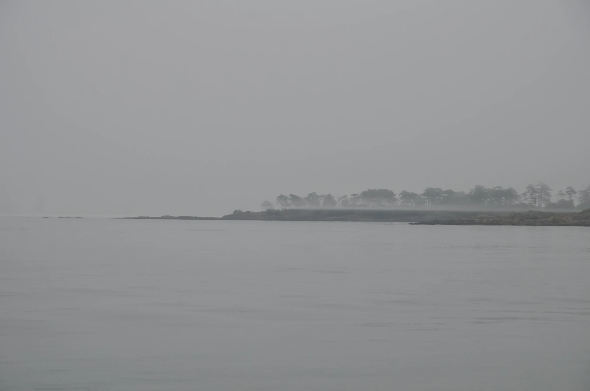 misty coast 090 — Скачать