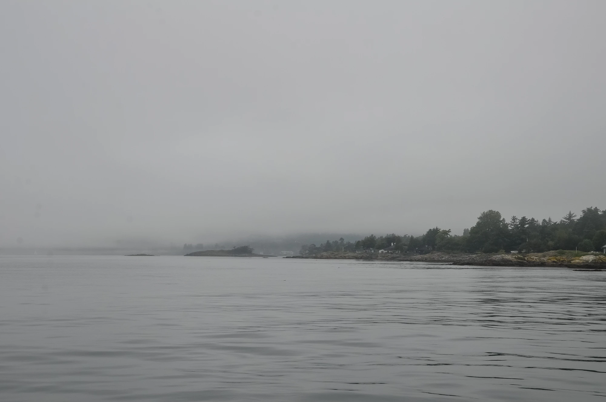 misty coast 093 — Descargar
