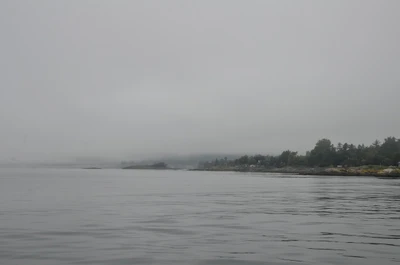 misty coast 093 — Descargar
