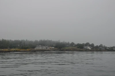 misty coast 095 — Скачать