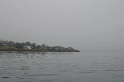 misty coast 096 — Download