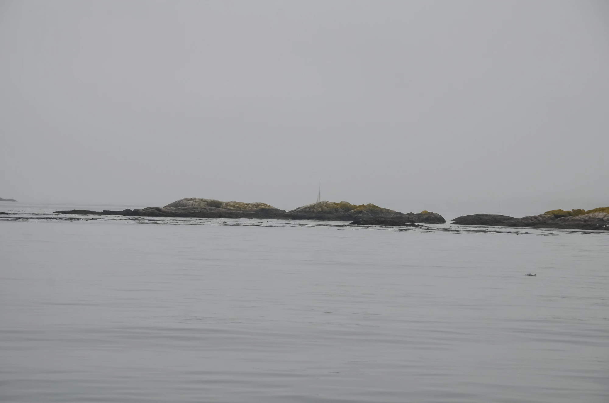 misty coast 103 — Descargar