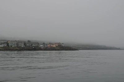 misty coast 105 — Descargar