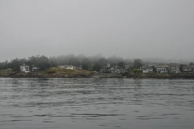 misty coast 107 — Скачать