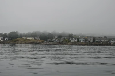 misty coast 109 — Descargar
