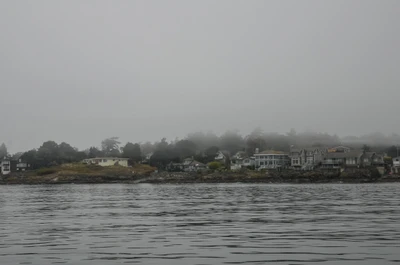 misty coast 111 — Скачать