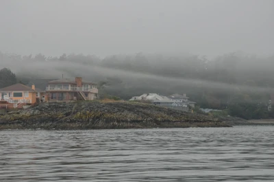 misty coast 113 — Скачать