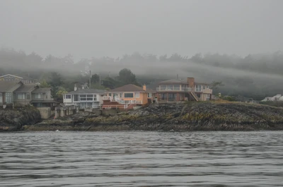 misty coast 114 — Скачать