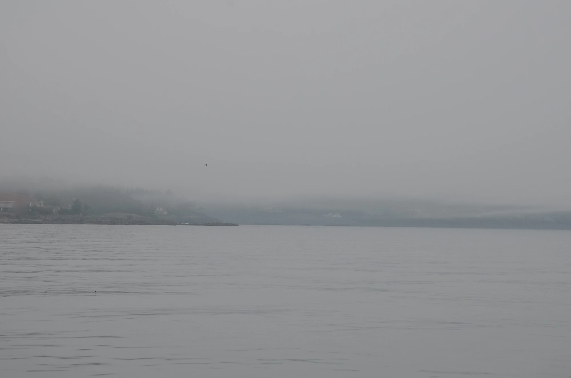 misty coast 118 — Descargar