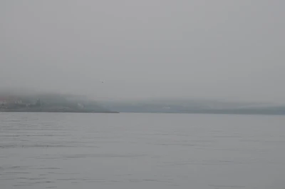 misty coast 118 — Descargar