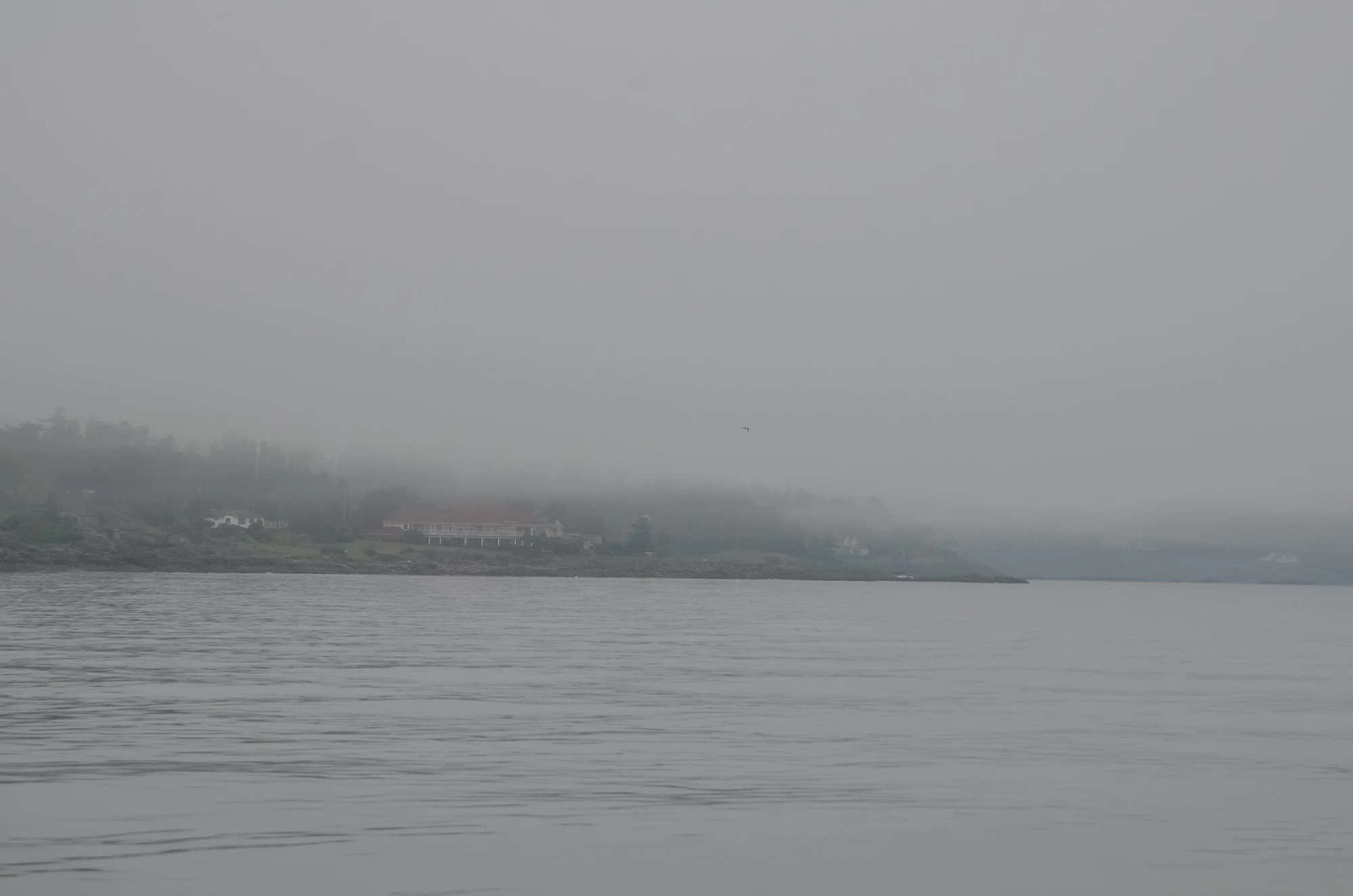 misty coast 119 — Скачать