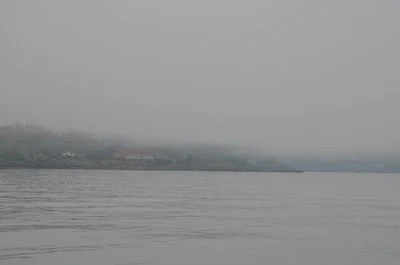 misty coast 119 — Скачать