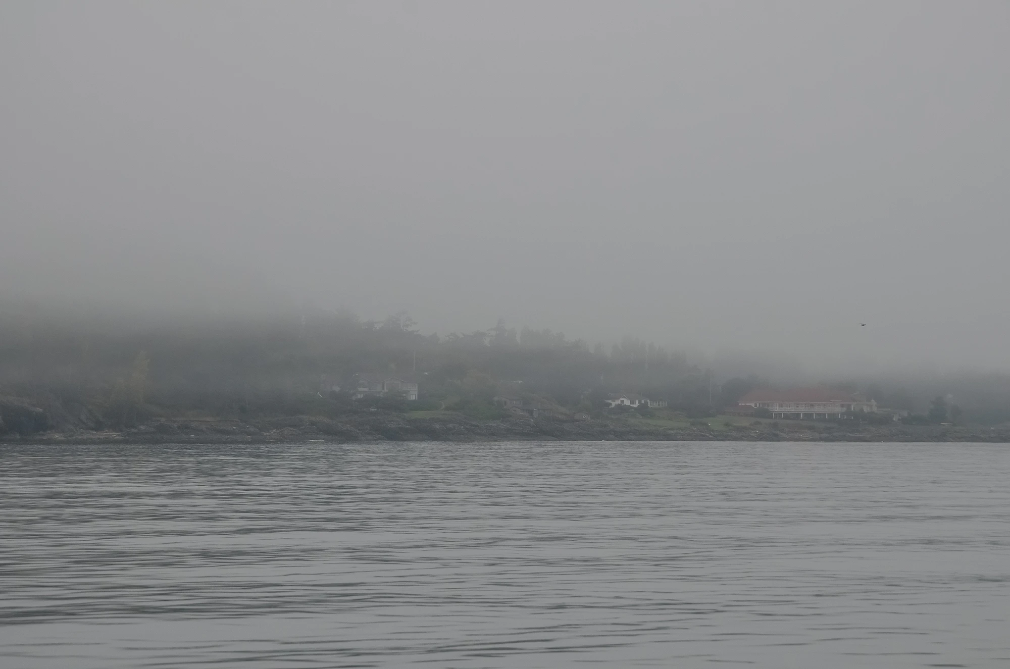 misty coast 120 — Скачать