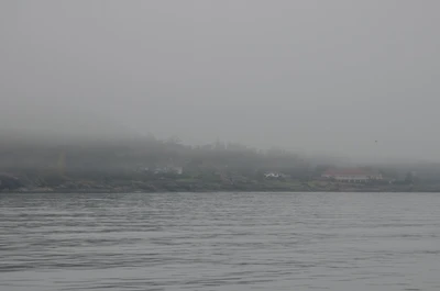 misty coast 120 — Скачать