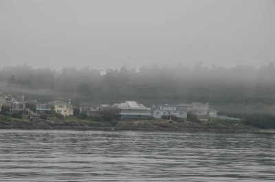 misty coast 126 — Descargar