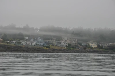 misty coast 127 — Descargar