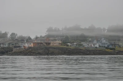 misty coast 128 — Descargar