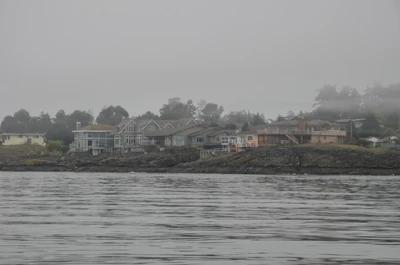 misty coast 129 — Скачать