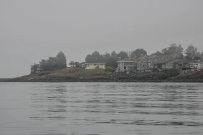 misty coast 130 — Скачать