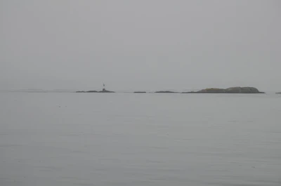 misty coast 132 — Скачать