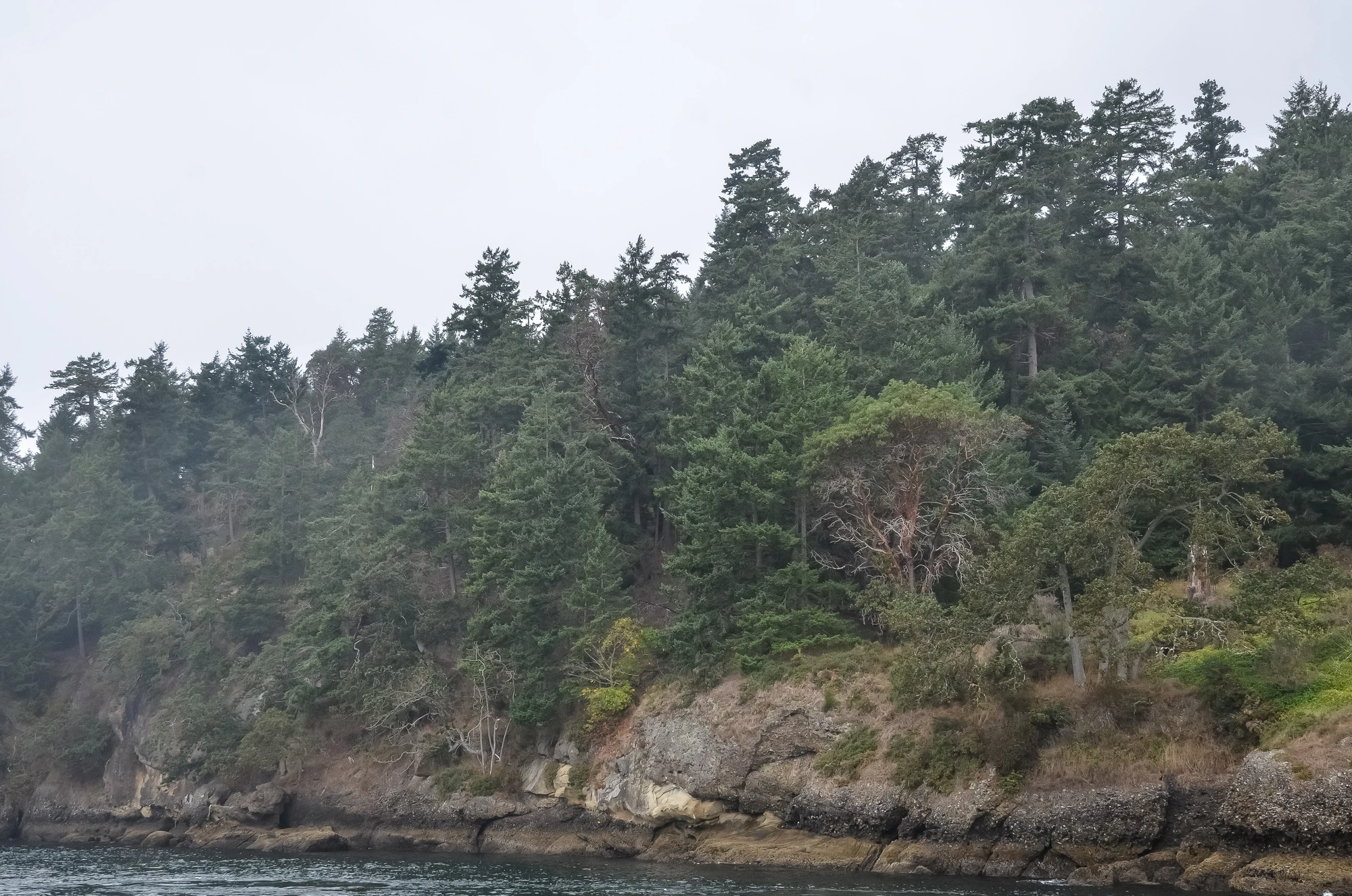 misty coast 148 — Descargar
