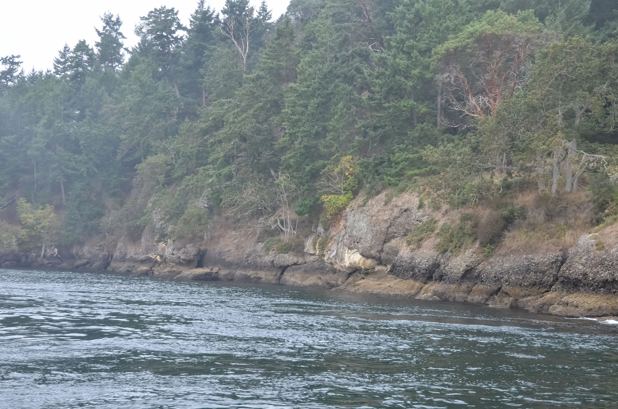 misty coast 152 — Скачать