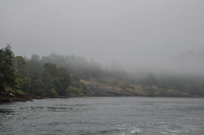 misty coast 153 — Descargar