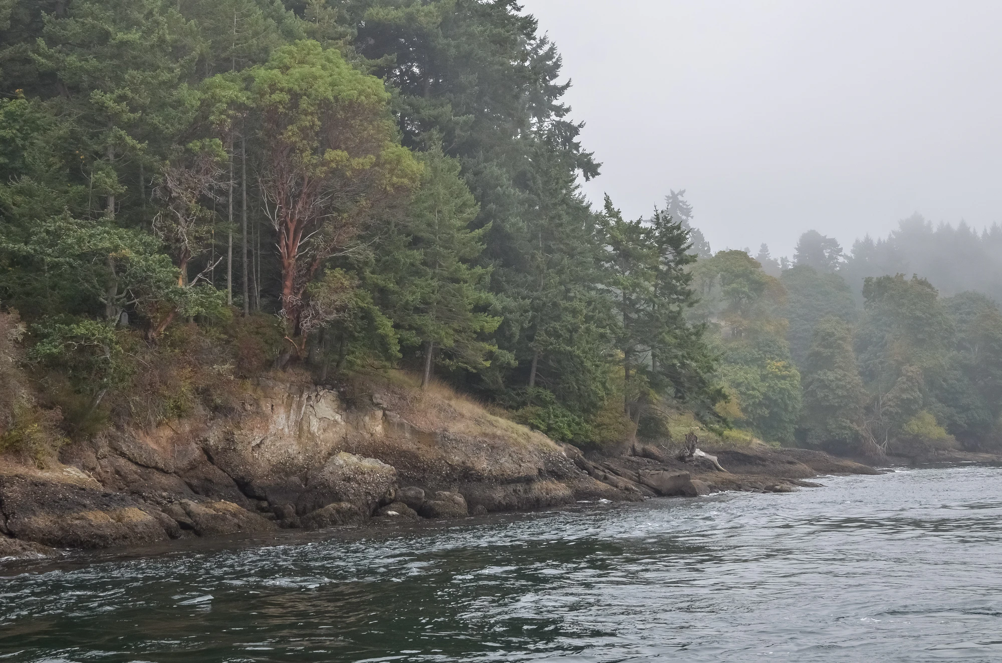 misty coast 154 — Скачать