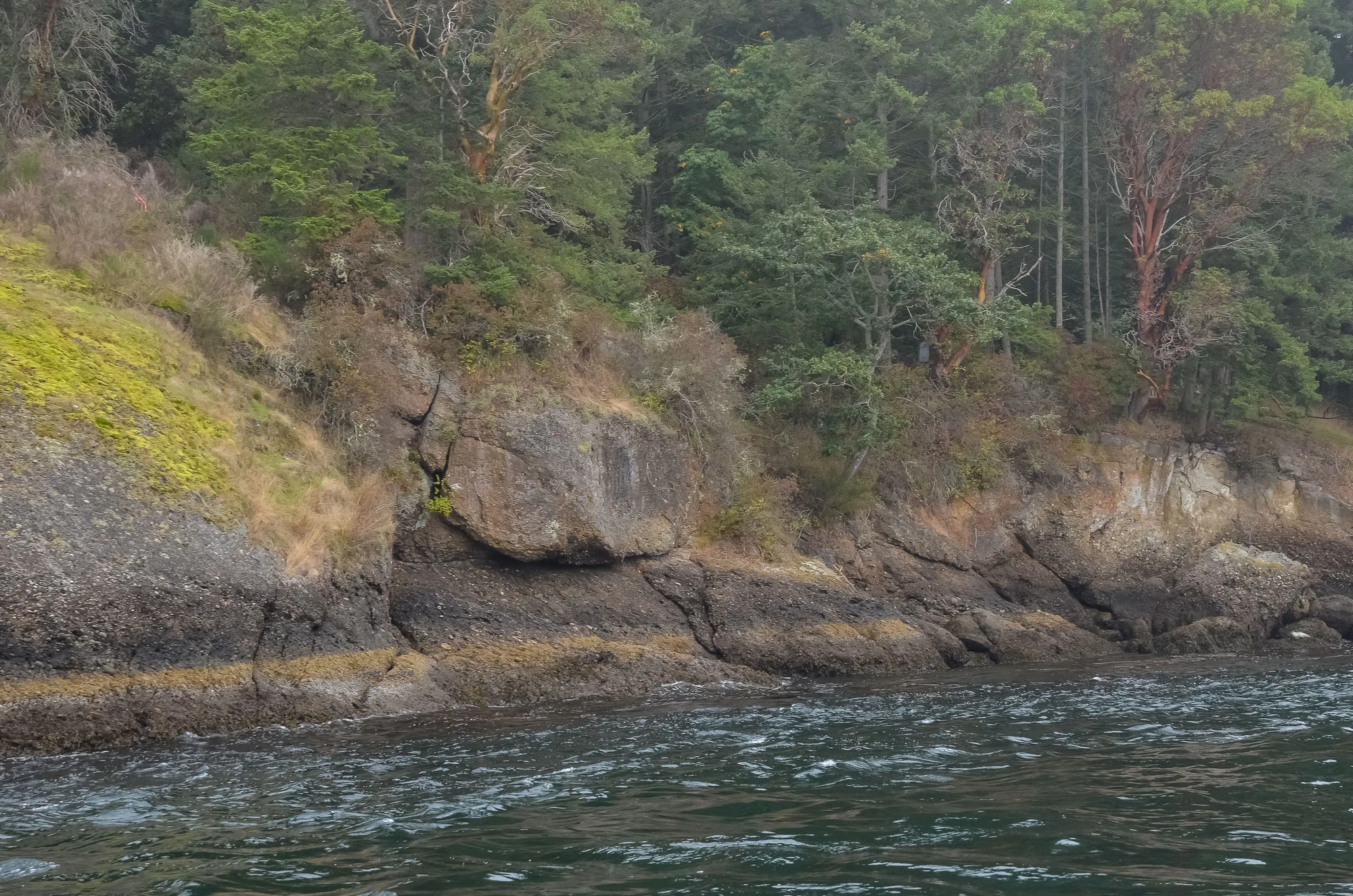 misty coast 157 — Скачать