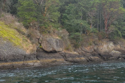 misty coast 157 — Скачать
