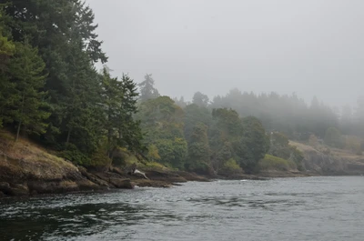 misty coast 158 — Скачать