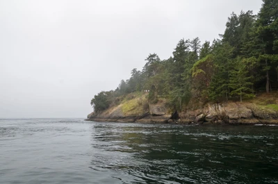 misty coast 159 — Descargar