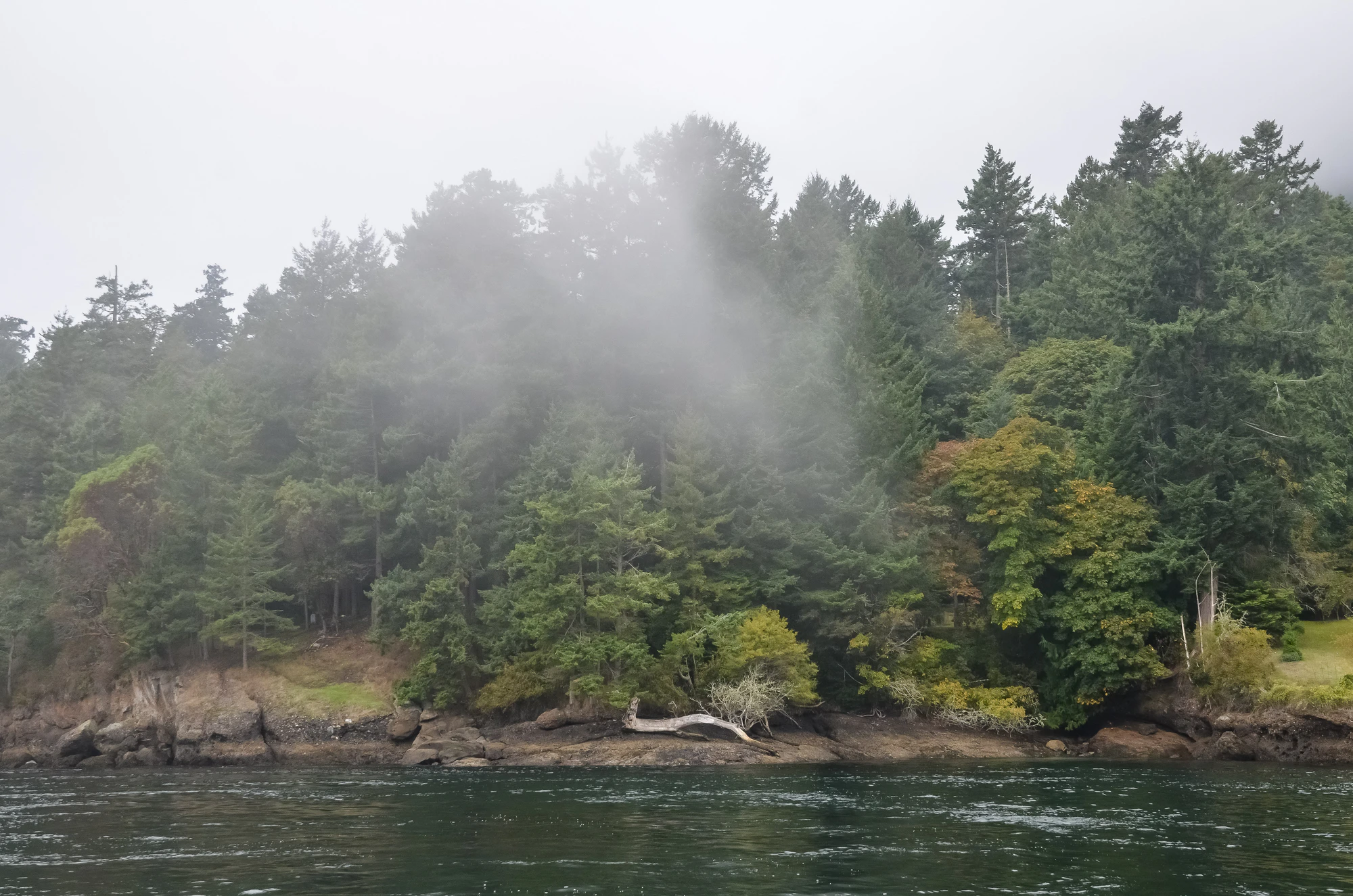 misty coast 165 — Descargar