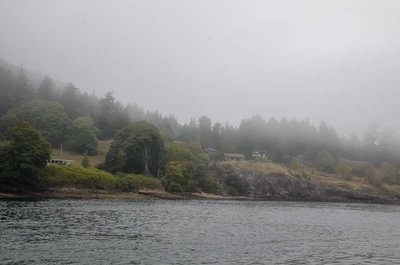 misty coast 167 — Descargar
