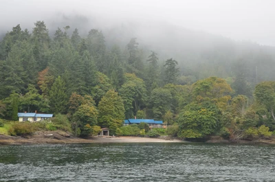 misty coast 169 — Скачать