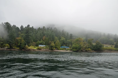 misty coast 171 — Скачать