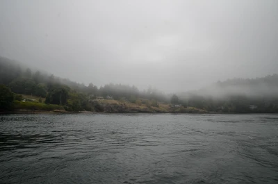 misty coast 172 — Скачать