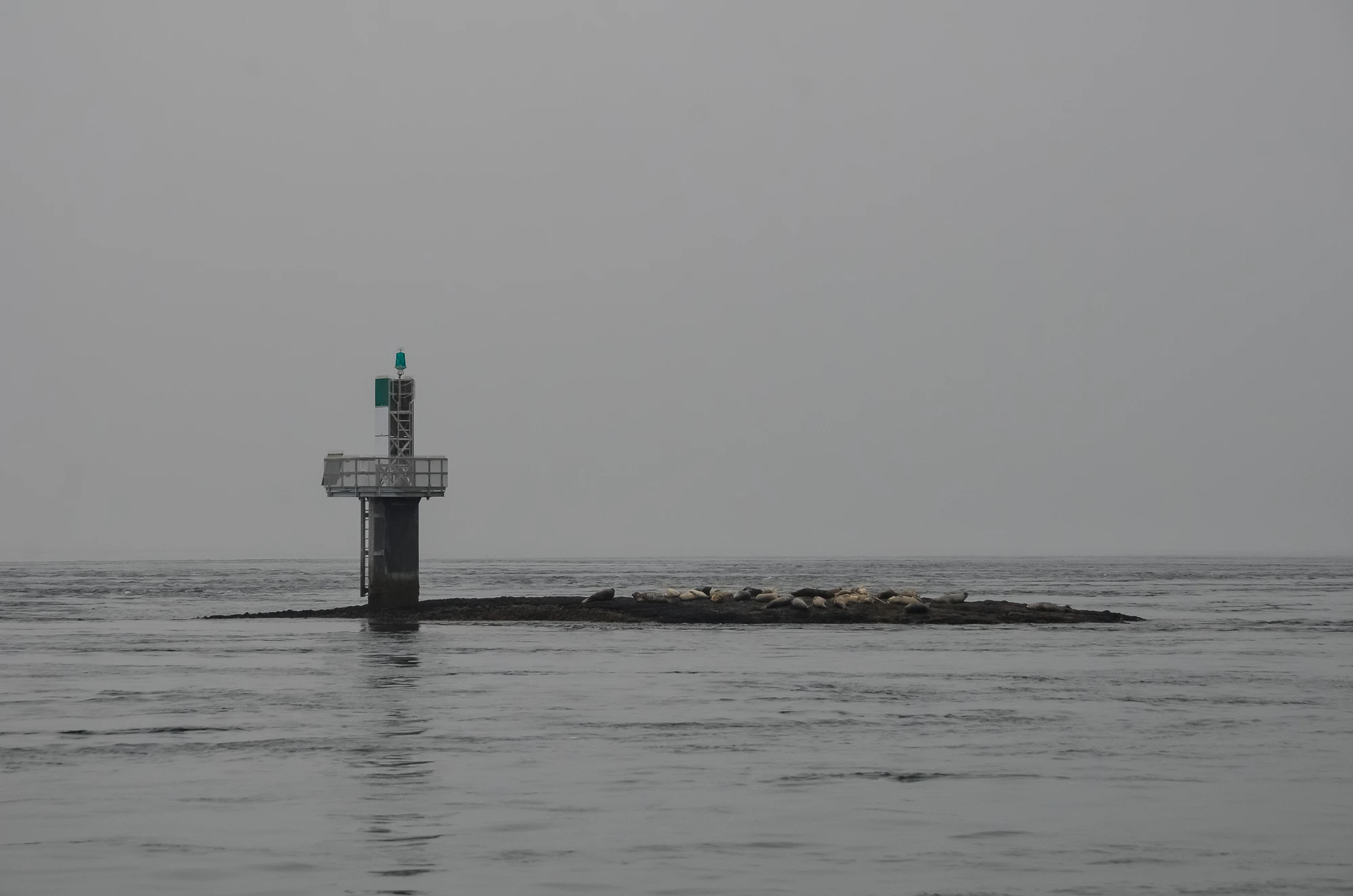misty coast 173 — Descargar