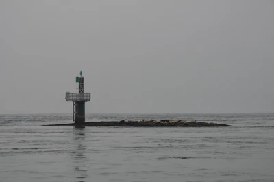 misty coast 173 — Descargar
