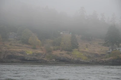 misty coast 175 — Descargar