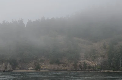 misty coast 180 — Скачать