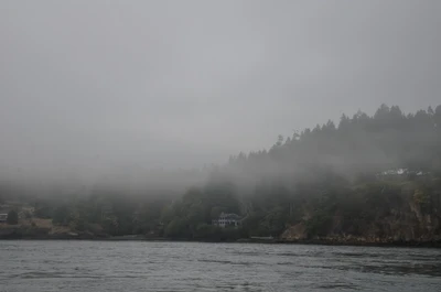 misty coast 183 — Descargar