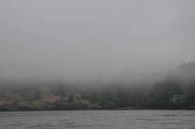 misty coast 184 — Descargar