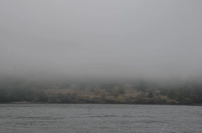 misty coast 185 — Скачать
