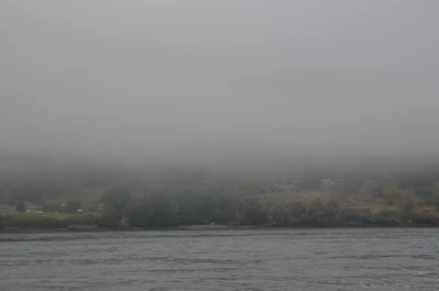 misty coast 186 — Descargar