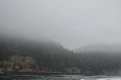 misty coast 191 — Descargar
