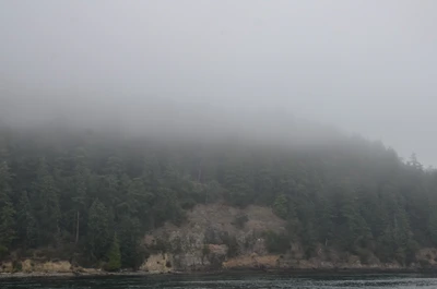 misty coast 192 — Descargar