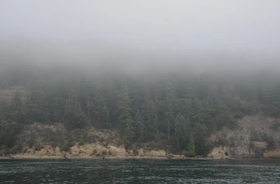 misty coast 193 — Descargar