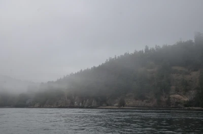 misty coast 194 — Descargar