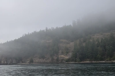 misty coast 195 — Descargar